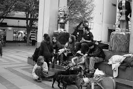 Youth Homelessness Two