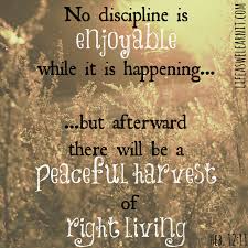 Discipline