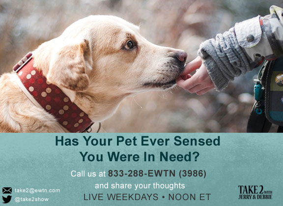 T2- MAY 16 -2019- pet-help