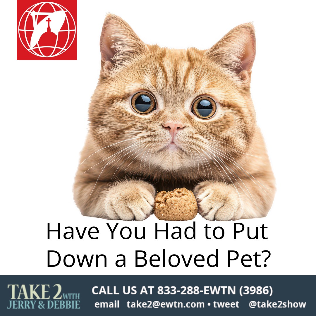 Have You Had To Put Down A Beloved Pet Take 2 With Jerry Debbie T2 Down Pets 